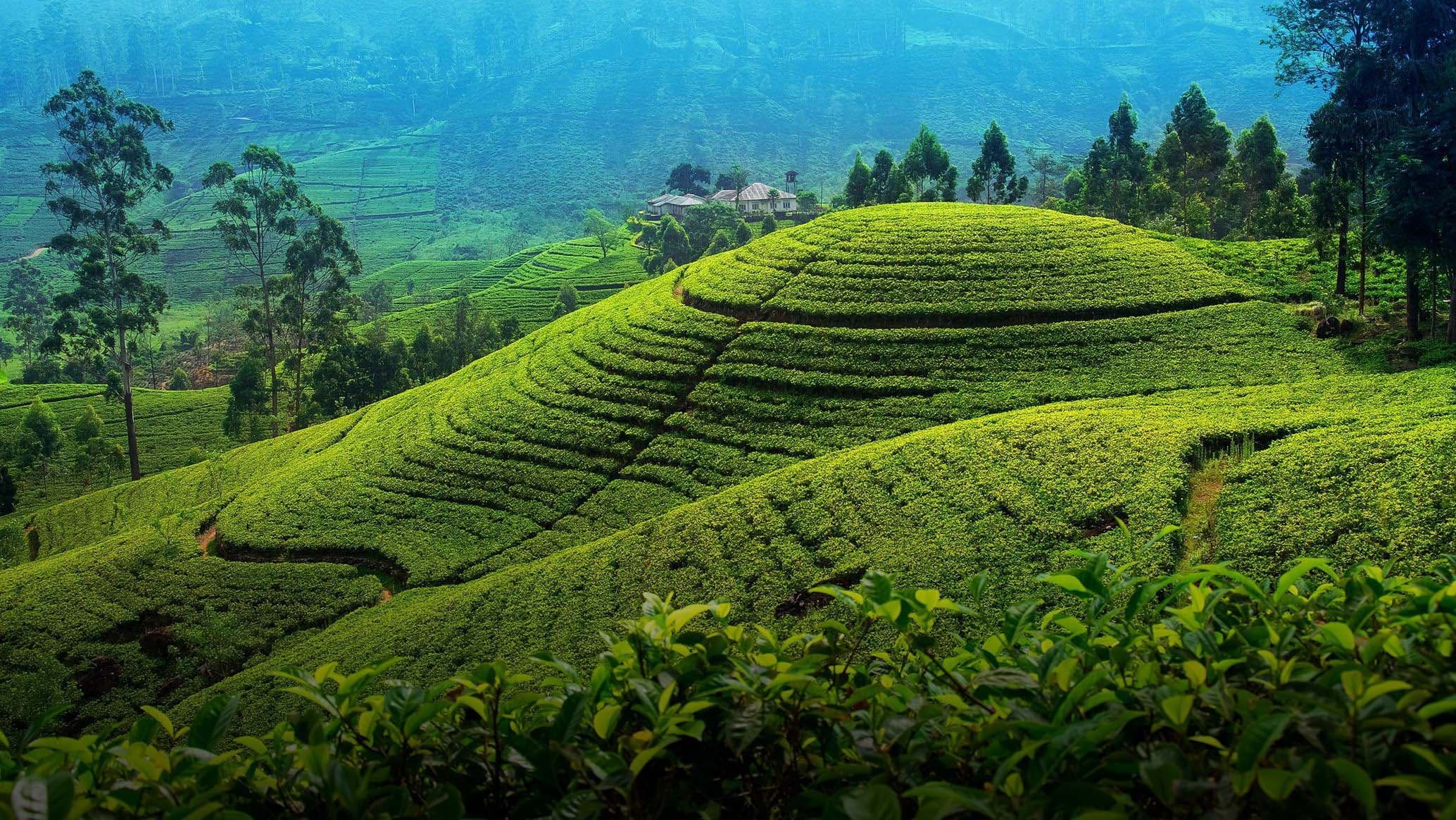 Discovering the Charms of Colombo