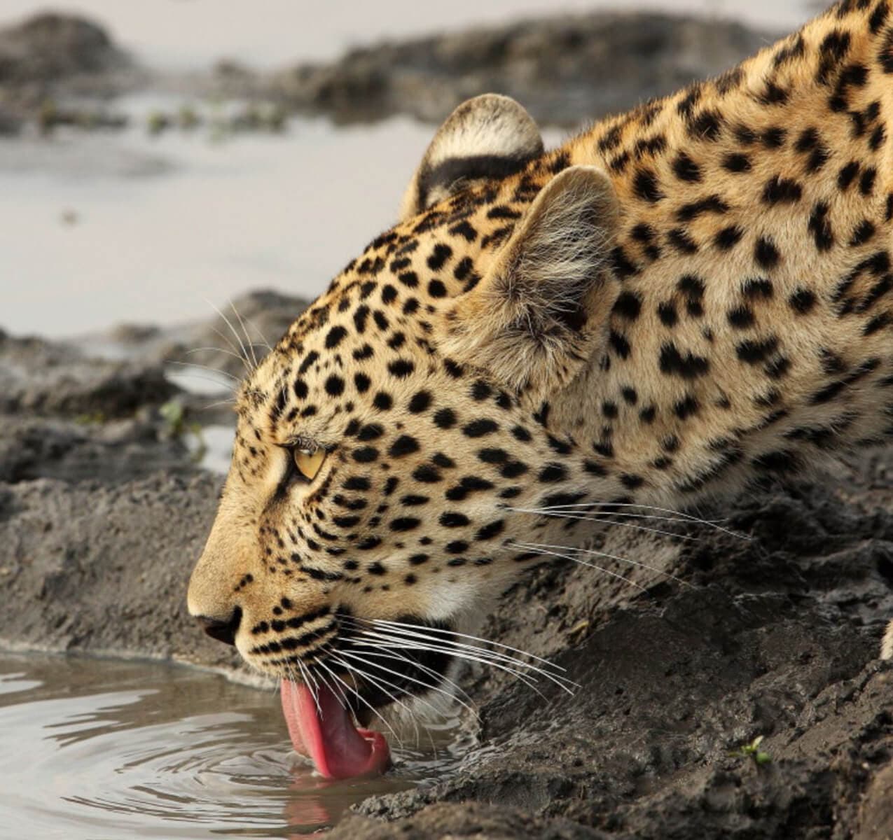 Sri Lanka Itinerary 21 Days