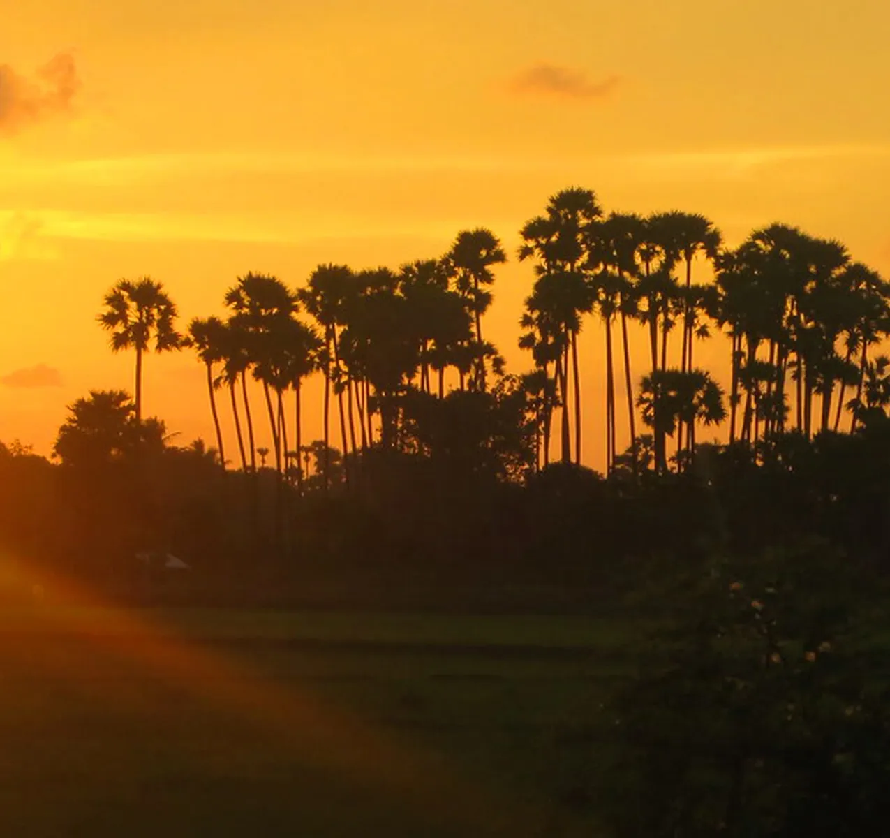 Explore Northwest East Central Tour in Sri Lanka