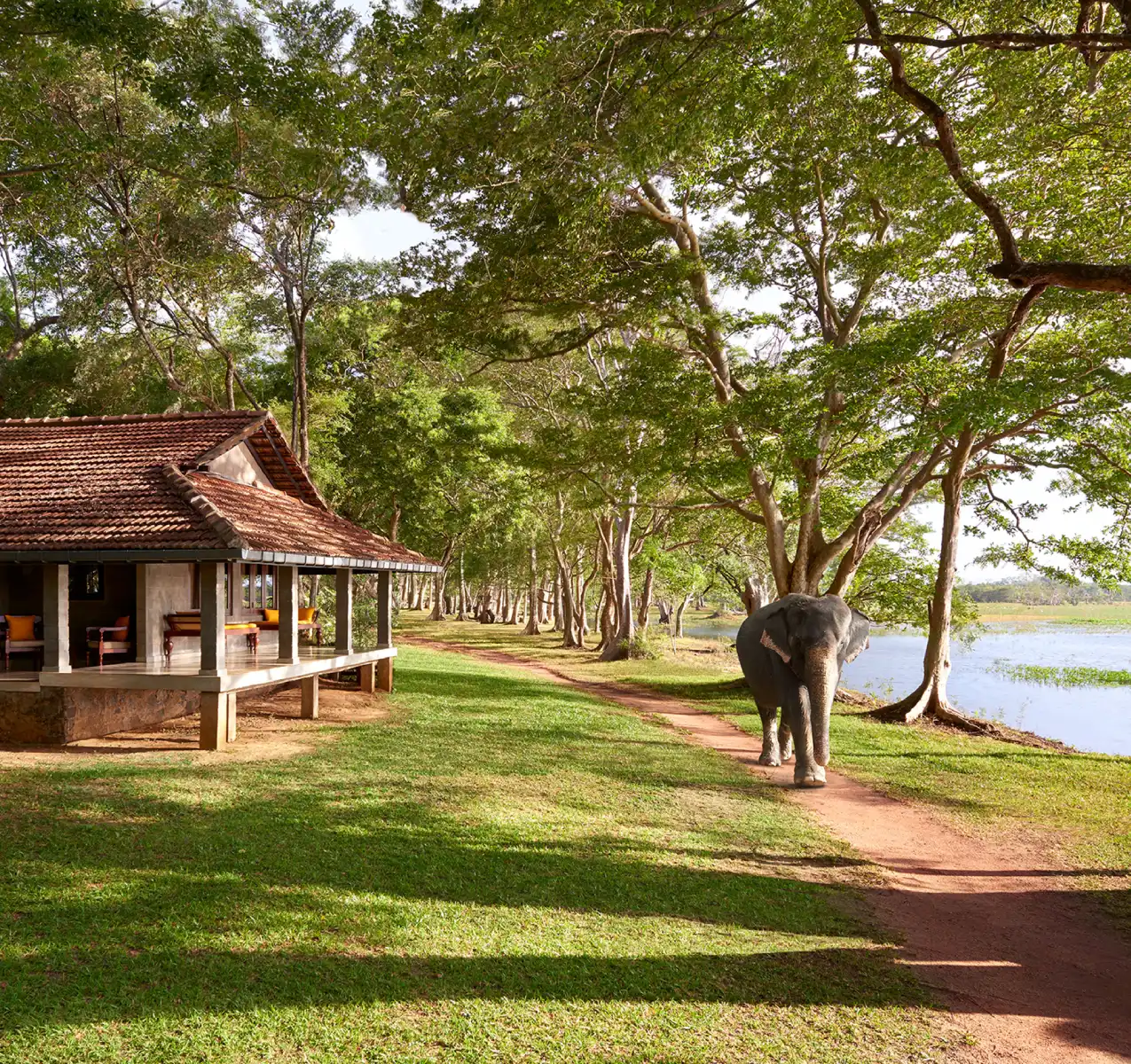 Infuse Your Holiday with Local Vibe at Flagship of Cinnamon