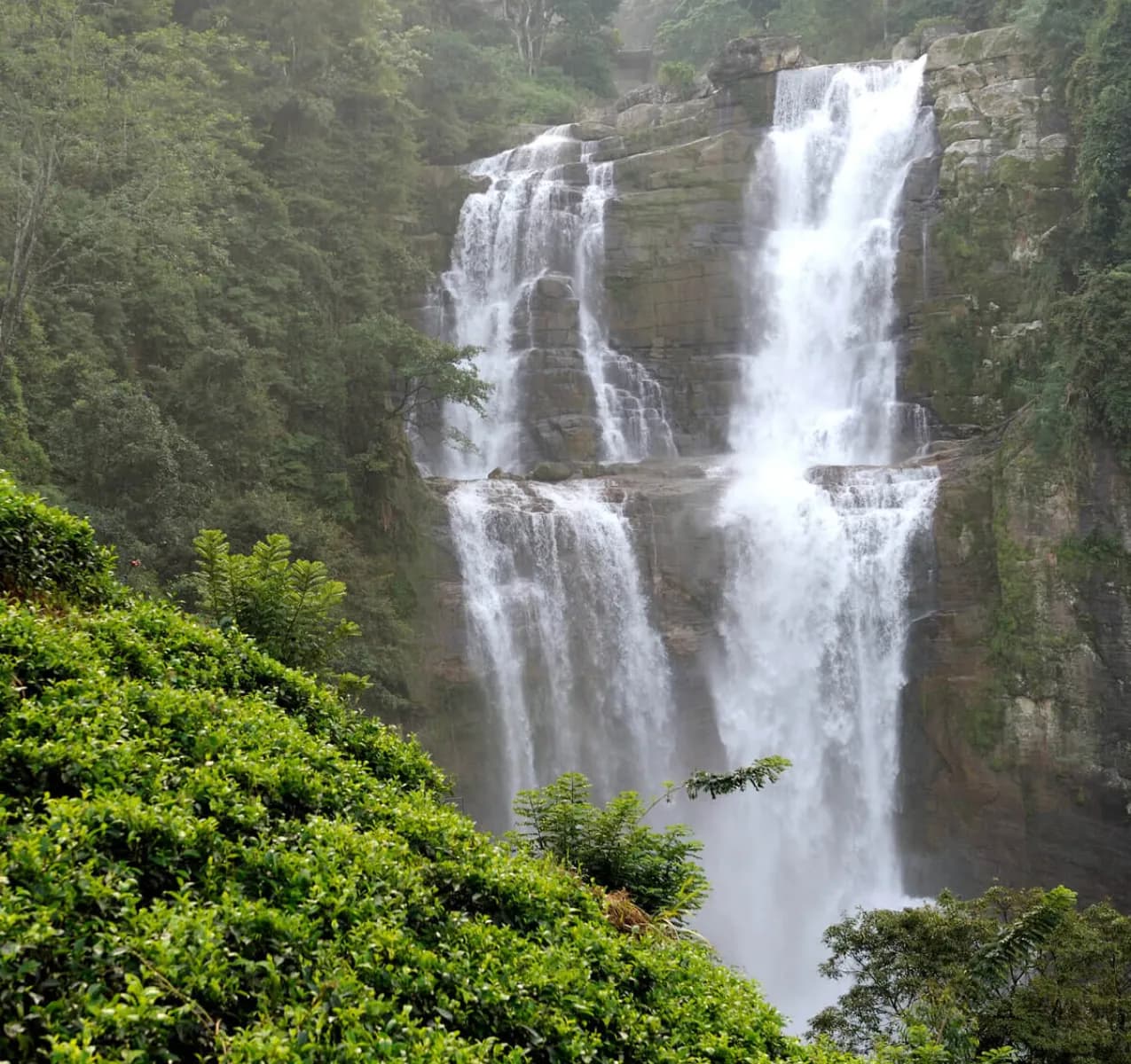 Twin Center Sri Lanka Maldives Tour